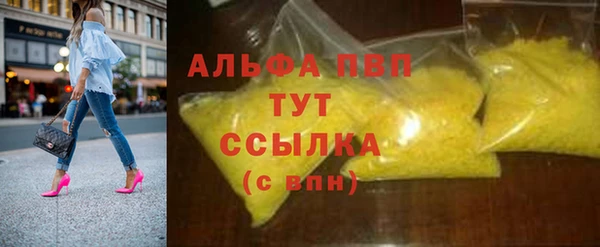 ECSTASY Инсар